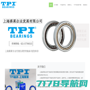 TPI轴承-上海葵莱企业发展有限公司