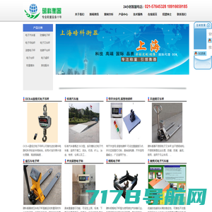 上海仪展衡器有限公司 电子天平,标准砝码,吊钩秤,叉车称,钢瓶秤