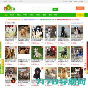 重庆大学新闻网