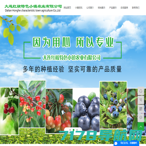 丹东市蓝莓协会网
