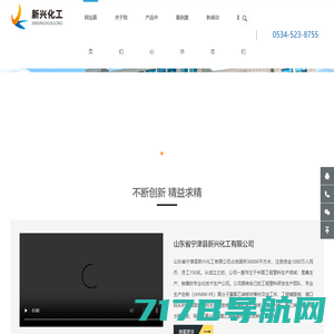 山东省宁津县新兴化工有限公司