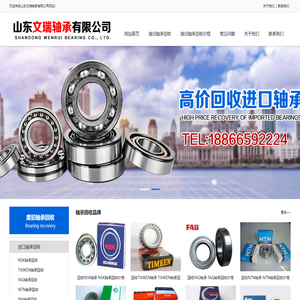 上海臻游传动设备有限公司 - 进口轴承供应商•专注轴承传动领域
