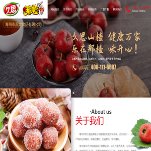 青州市苏大食品有限公司-山楂片和果丹皮及山楂条厂家