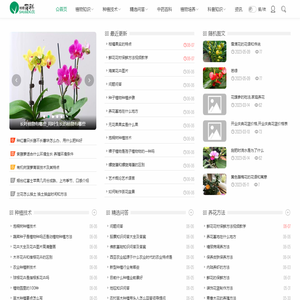 家庭园艺花卉网—专注于家庭养花的花卉网站