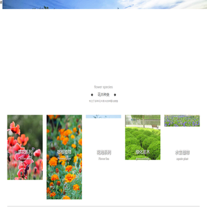 家庭园艺花卉网—专注于家庭养花的花卉网站