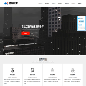 武汉网站建设_做网站_网页设计制作与开发 - 中网维优建站公司