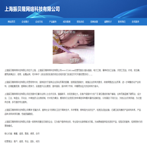 上海振贝隆网络科技有限公司