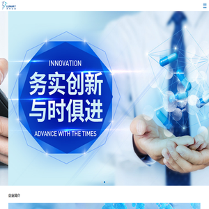锐意 战略营销咨询-中国独树一帜的新一代战略咨询公司