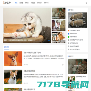 喵萌网—专注宠物猫的品种养护、市场价格和猫咪图片大全