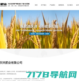 山东菲申特肥料科技有限公司