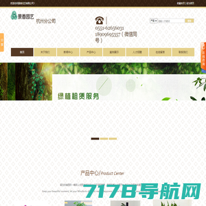 专业办公室植物租赁价格！为您提供室内优质盆栽、租花卉、绿植租摆零售批发一体化服务 - 蚌埠锦上添花植物租售公司