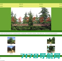 农苗网|苗木求购信息-园林绿化专业苗木网站