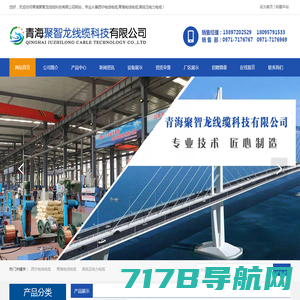 上海人民电缆集团 电力电缆 控制电缆 矿用电缆 电线电缆  上海品牌