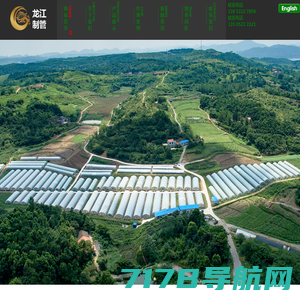 温室连栋大棚_智能玻璃温室建设_温室工程_青州市巨龙农业装备有限公司