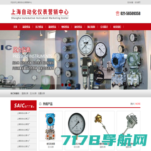 上海仪表厂,上海自动化仪表厂,上海自动化仪表有限公司