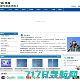 专业仪表生产厂商-河北瑞丁自动化设备有限公司