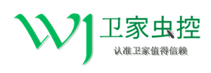 佛山南海白蚁防治所公司电话{您身边的白蚁专家}指定权威灭治白蚁治中心桂城白蚁治理-佛山市卫家白蚁防治有限公司