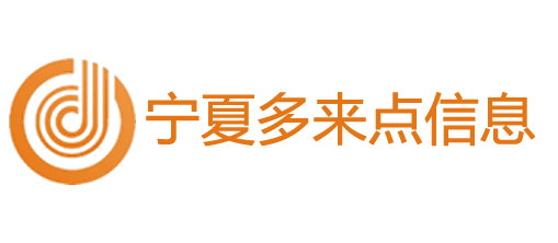 宁夏多来点信息技术有限公司