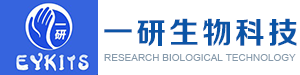 大_小鼠elisa试剂盒-植物_人Elisa试剂盒-PCR荧光定量试剂盒-上海一研生物科技有限公司