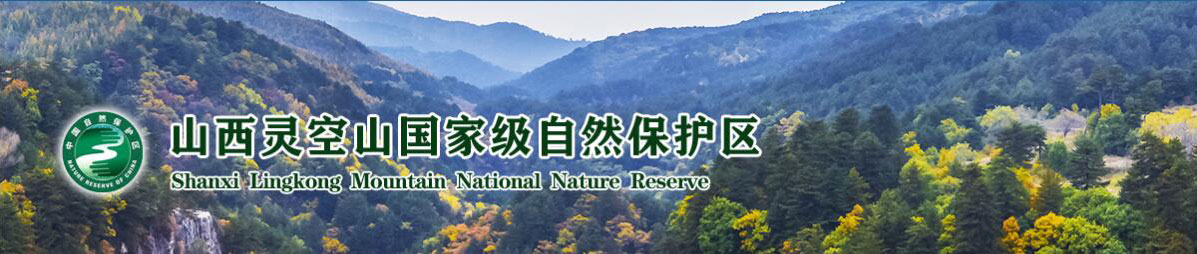 山西灵空山国家级自然保护区门户网站