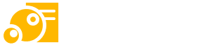 泡泡演讲稿-2024专业演讲稿范文