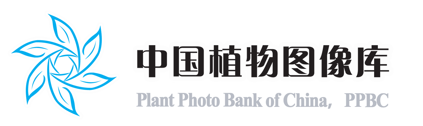 PPBC中国植物图像库——最大的植物分类图片库