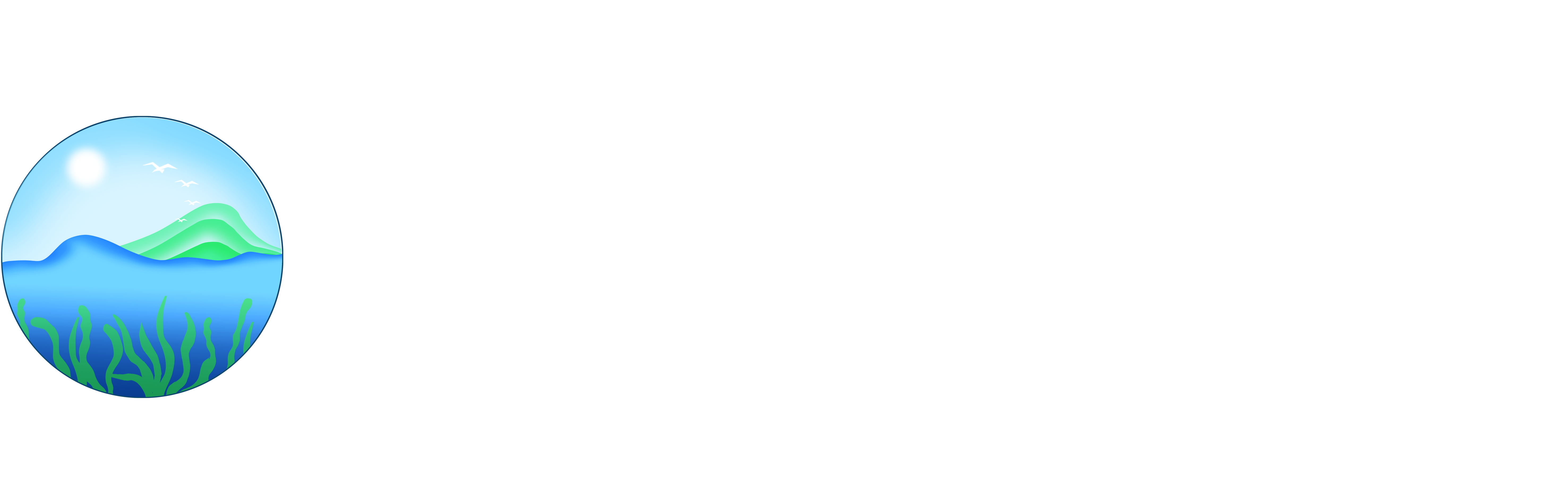 山东清海生态环境研究院有限公司