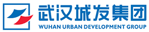 武汉城市发展集团有限公司